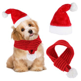 Apausvcm Christmas dog Santa hat on a small pet for festive styling