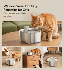 APD APETDOLA stainless-steel fountain top view—rust-free durability for busy multi-pet homes.