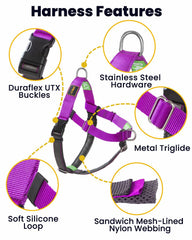 APDEXY Freedom harness back clip supports comfortable daily walks with better visibility.