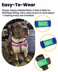 APDEXY harness uses quick-release buckles for easy on-off and security.