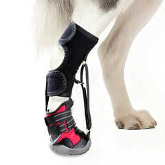 Apedret toe grips on senior dog walking for steadier steps and reduced paw strain.
