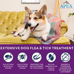 Apex Plus flea-life-cycle-control-dogs shows life-stage protection across fleas.