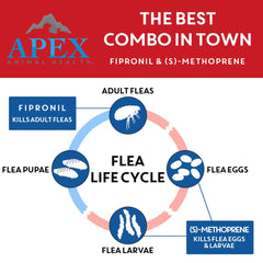 APEX PLUS XL application on dog's back shows easy topical use.