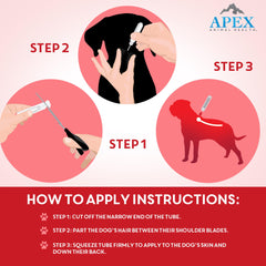 APEX PLUS XL on dog's feet demonstrates all-around protection.