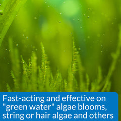 API ALGAEFIX green-water algae control illustration for clearer water.
