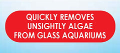 API Hand Held Algae Pad texture closeup shows durable scrubbing surface