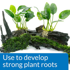 API Root Tabs tablet close-up highlighting visible nutrients for healthy roots.