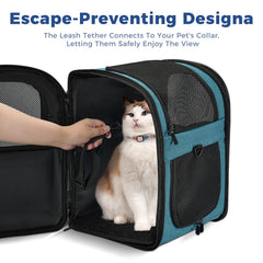 Apollo Walker carrier back panel angle emphasizes airflow for cooler, relaxed pets