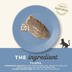 Applaws cat enjoys tilapia treat closeup, ideal for rewarding good behavior.