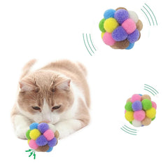 AQSXO cat-ball kitten-play-noise demonstrates surprising sounds during playtime.