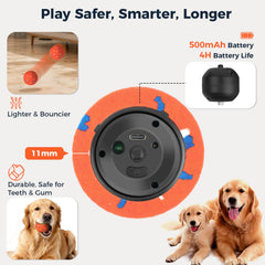 Aquamorph 2-pack interactive dog balls—two colors for variety during playtime.