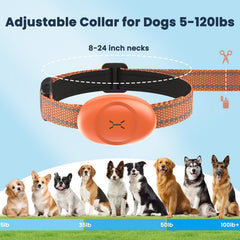 Aquamorph collar safe shock level offers controlled feedback without overstimulation.
