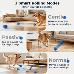 Aquamorph dog ball orange ripple motion keeps dogs mentally engaged during fetch.