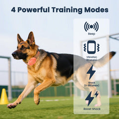 Aquamorph dog collar vibration mode with adjustable levels for gentle feedback.