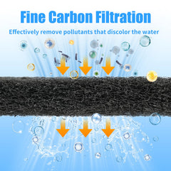 AQUANEAT crystal-clear water results improve tank visibility.