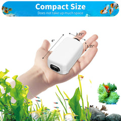AQUANEAT dual-outlet configuration enables simultaneous filtration and stone aeration.