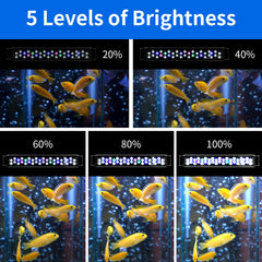 AQUANEAT LED brightness control shows adjustable lighting for plant and fish needs.