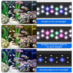 AQUANEAT LED daylight mode provides vibrant daytime illumination for clear viewing.