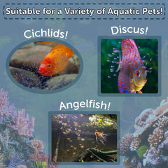 Aquatic Foods Inc. brine-shrimp-eggs dust-free-processing image implies cleaner, ready-to-use product.