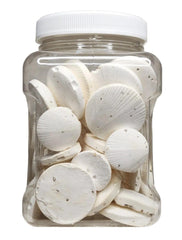 Aquatic Foods Inc calcium feeders disk snails delivers calcium for healthier shells