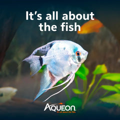 Aqueon Cichlid Food in a vibrant tank suggests healthy color development and active feeding behavior.