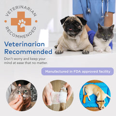 ARCA PET mini first aid pouch keeps essentials organized in a bag or car