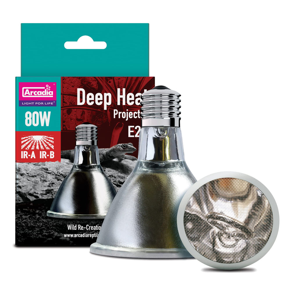 Arcadia Deep Heat Emitter 80W over basking spot delivers natural warmth for reptiles.