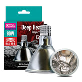 Arcadia Deep Heat Emitter 80W over basking spot delivers natural warmth for reptiles.
