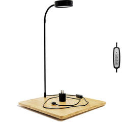 AREPK full-spectrum LED for aquariums providing natural light for thriving small-tank plants.