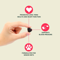 Ark Naturals Gray Muzzle packaging front highlighting natural ingredients