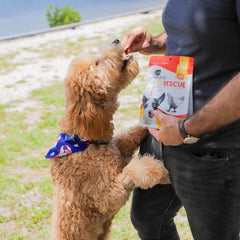 ARK Naturals Joint Rescue chew closeup reveals chicken jerky texture for daily reward.