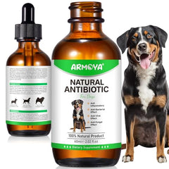 ARMOYA dog antibiotics dropper close-up showing precise dosing