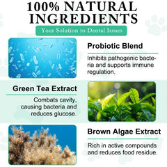 ARMOYA Dog Dental Powder packaging emphasizes a resealable container for longevity.