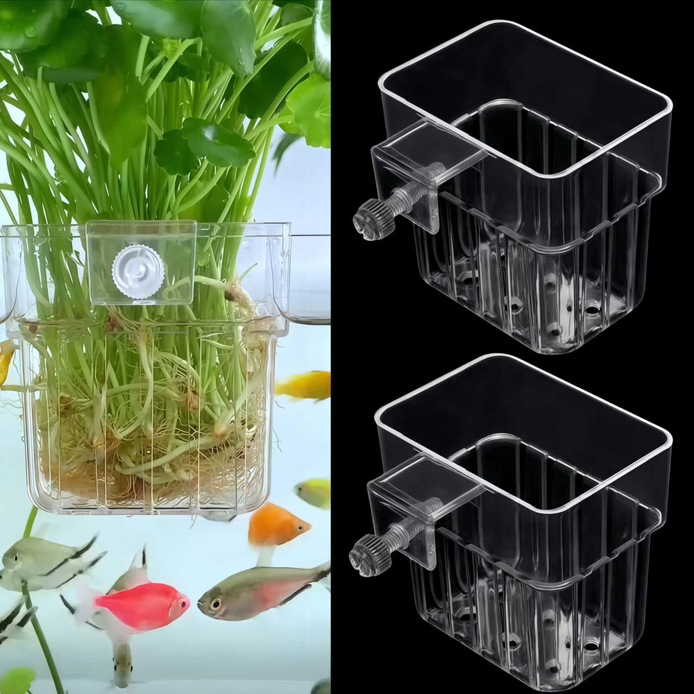 ARREBOL aquarium plant holder top hanging 2-pack secures plants at tank edge