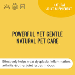ArthriMAXX bottle pour shows liquid dog supplement for quick dosing.