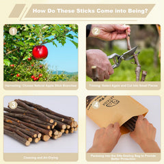 ARTKIDA Apple Sticks closeup shows natural flavor enticing rabbits, hamsters, and other small pets.