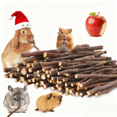 ARTKIDA Apple Sticks packaging 450g ensures freshness for long-lasting small pet chews and easy storage.