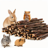 ARTKIDA Apple Sticks packaging 450g ensures freshness for long-lasting small pet chews and easy storage.
