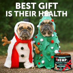 Artullano hemp calming chews closeup shows soft tasty treats aiding calm behavior