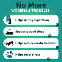 Artullano hip joint support dogs illustration highlights mobility benefits