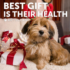 Artullano probiotic powder for dogs pour into bowl shows easy mixing for digestion.