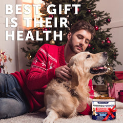 Artullano Probiotics for Dogs duck-flavored chews for easier digestion.