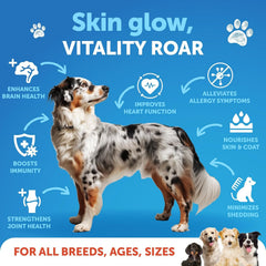 Artullano Salmon Oil for Dogs coat shine highlights nourished fur and vitality.