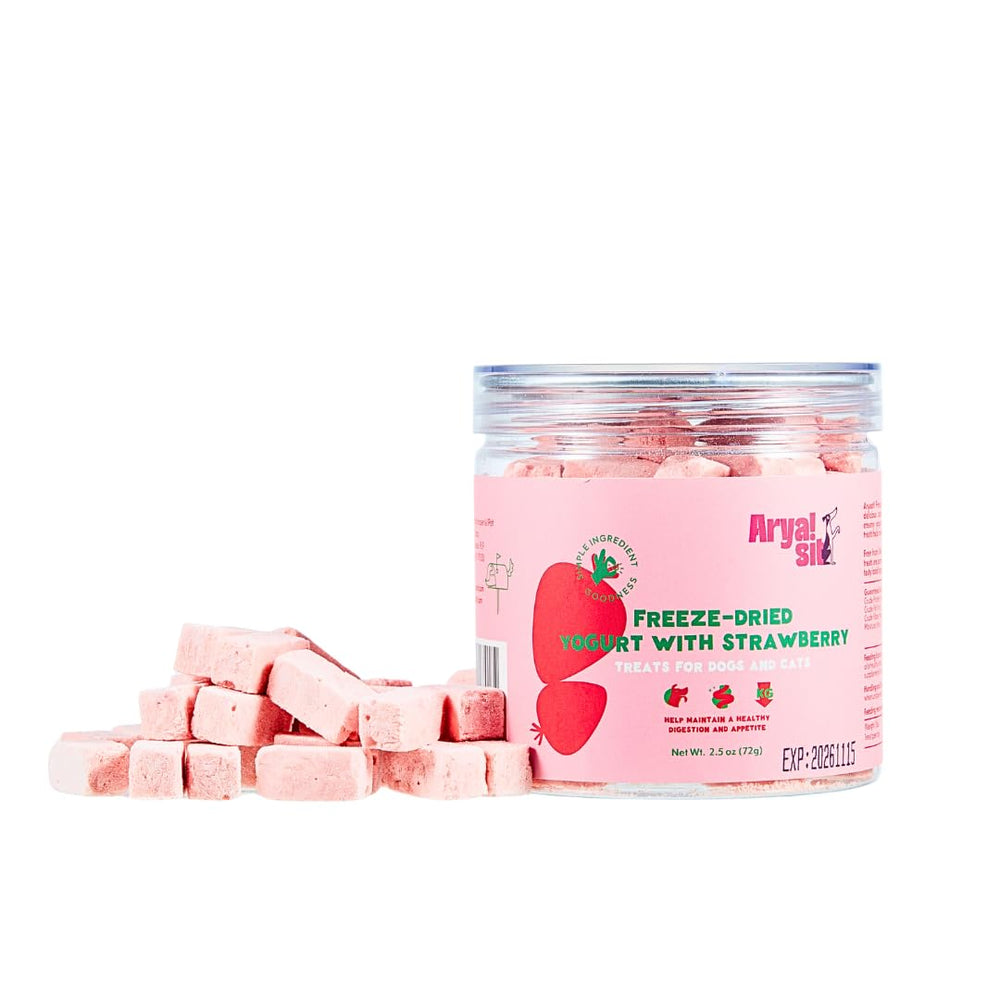 Arya Sit! strawberry yogurt goat milk treats jar close-up showing fresh flavor and probiotic potential.