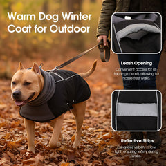 ASENKU dog coat reflective strip demonstrates nighttime visibility for safety