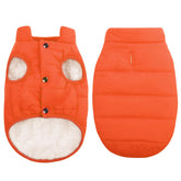 ASENKU dog winter coat waterproof windproof orange on dog offers reliable cold-weather protection.