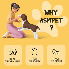 ASMPET dog training setup with jerky, ideal for rewards and bonding.
