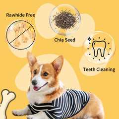 ASMPET cod omega-rich snack supports coat and skin during daily play