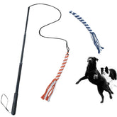 Varita interactiva extensible ASOCEA para juego al aire libre
