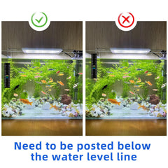Asofelk easy-read thermometer strip shows clear readings for precise tank management.
